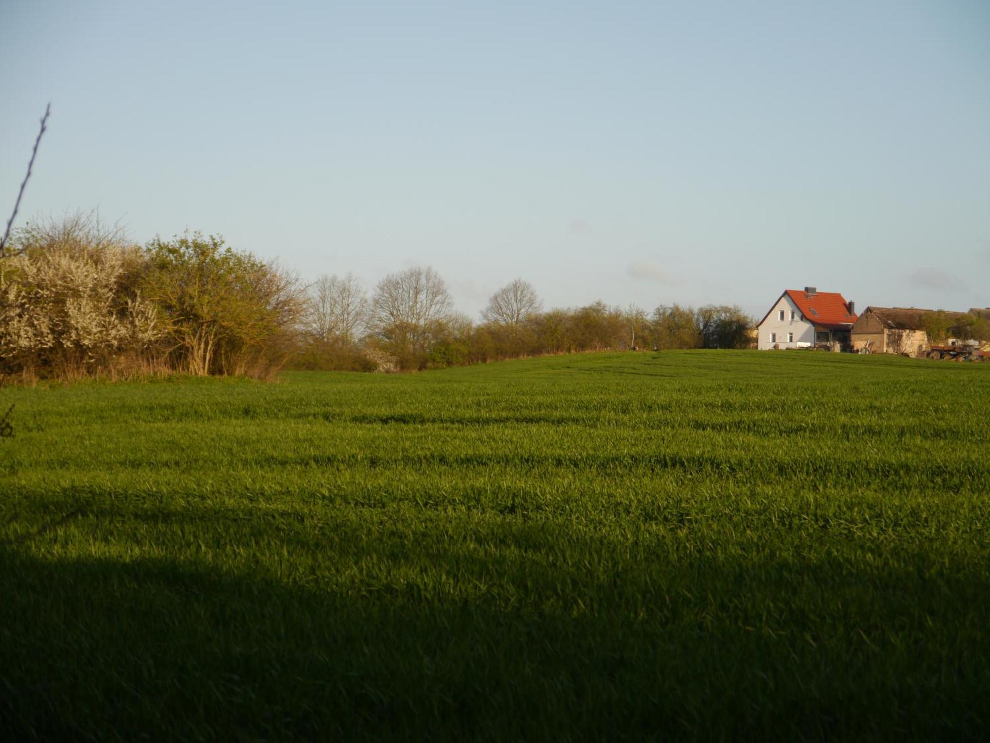 Ferienhaus-Uckermarkblick Rosenow  Luaran gambar