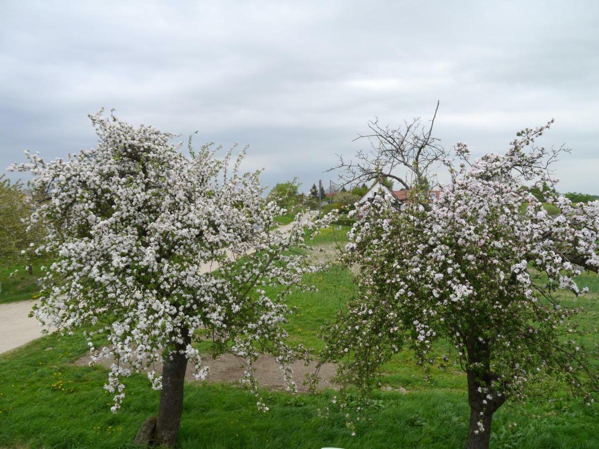Ferienhaus-Uckermarkblick Rosenow  Luaran gambar