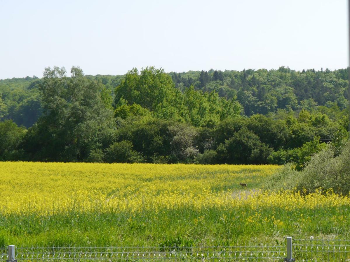 Ferienhaus-Uckermarkblick Rosenow  Luaran gambar